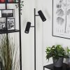 Trutielle Staande lamp Zwart, 2-lichts