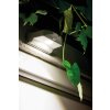 LEDVANCE Door Buiten muurverlichting Wit, 1-licht, Bewegingsmelder