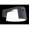 Lutec Moon Solarlamp LED Antraciet, 1-licht, Bewegingsmelder