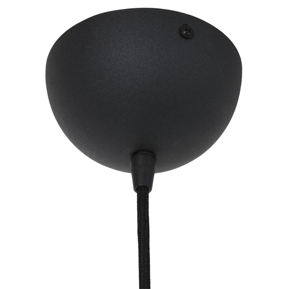Steinhauer Lotus Hanger Zwart, 1-licht