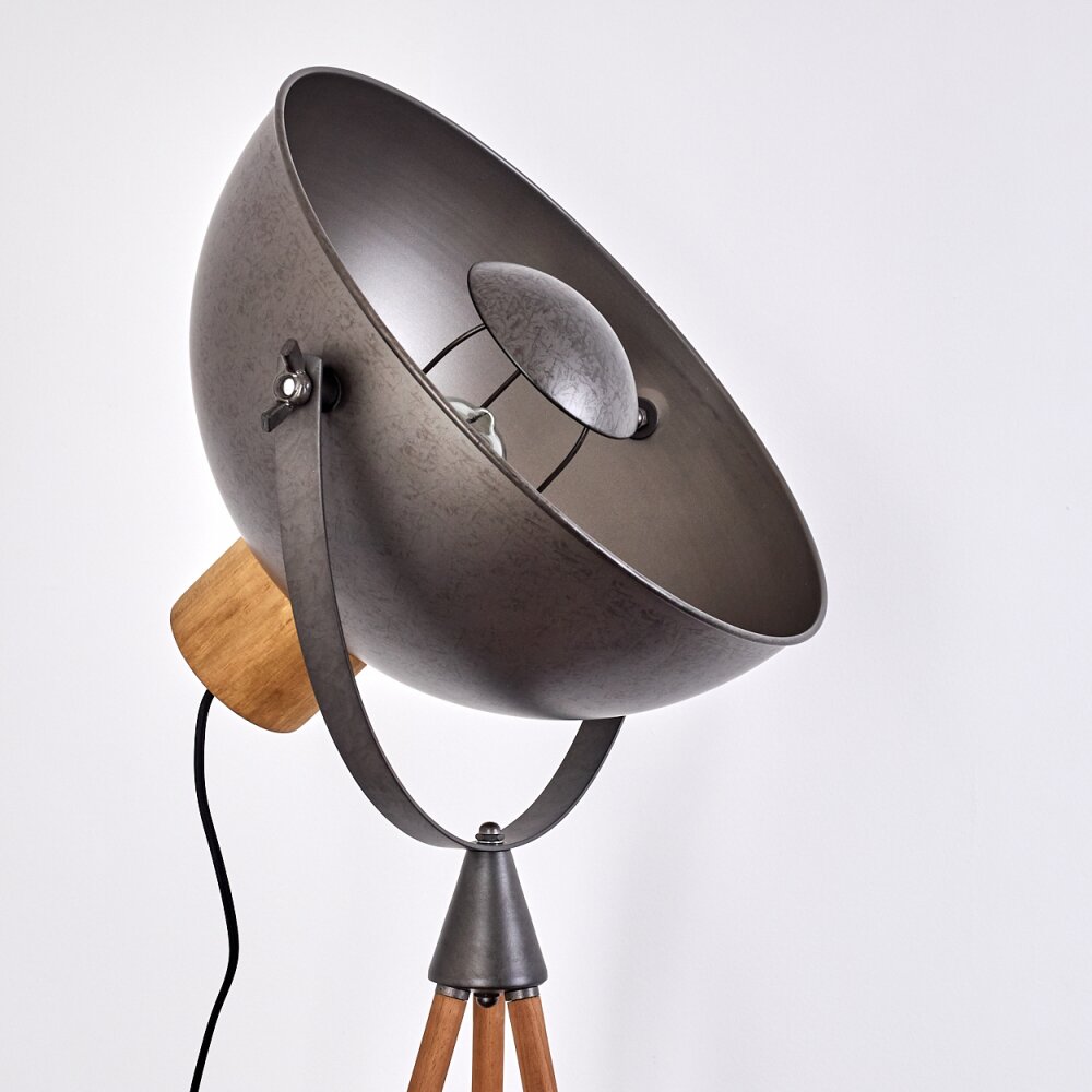 Tholen Staande lamp Bruin, 1-licht