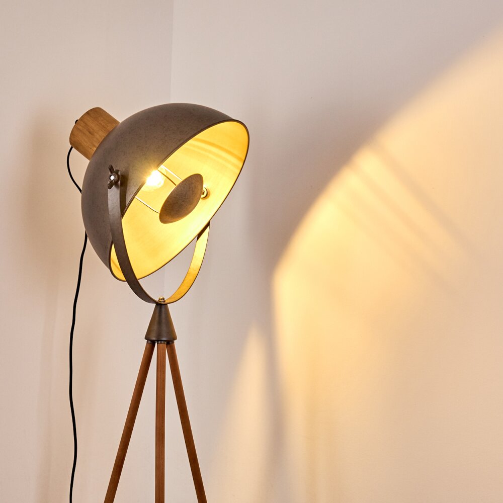 Tholen Staande lamp Bruin, 1-licht