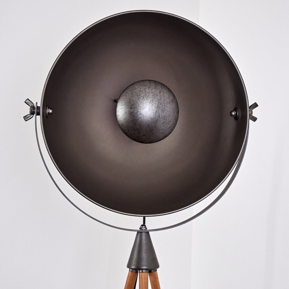 Tholen Staande lamp Bruin, 1-licht