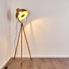 Tholen Staande lamp Bruin, 1-licht