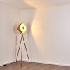 Tholen Staande lamp Bruin, 1-licht