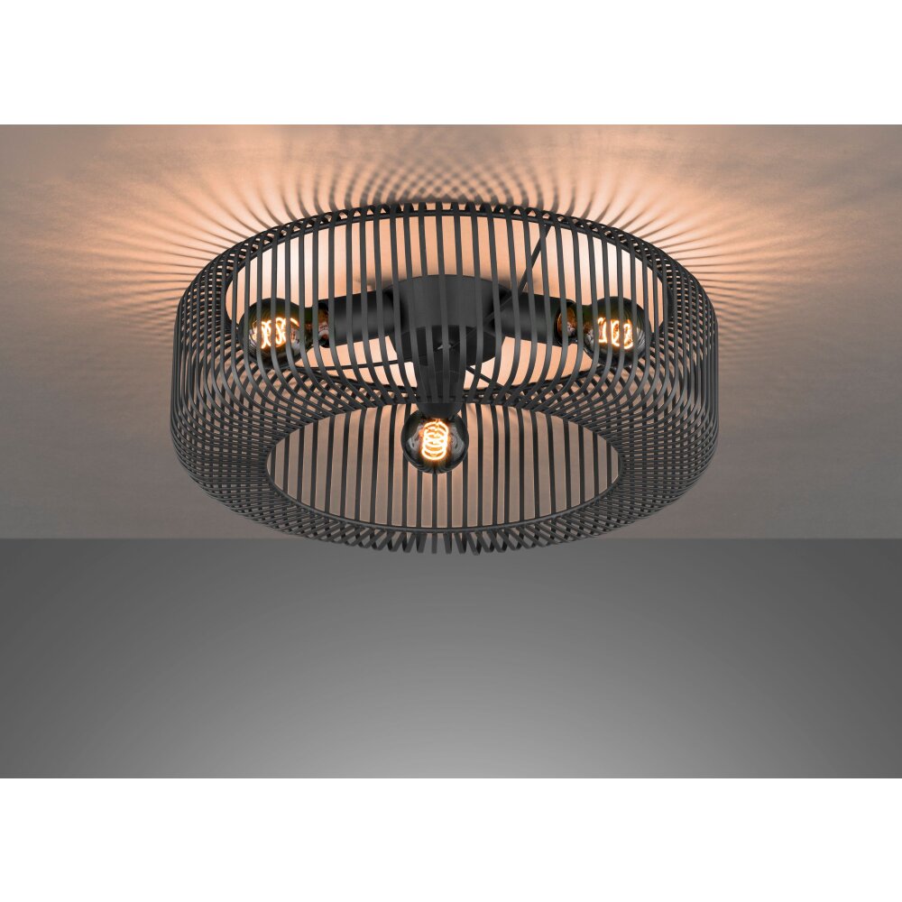 SCHÖNER WOHNEN-Kollektion Cage Plafondlamp Zwart, 3-lichts main product photo