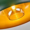 Gaudi Plafondlamp Goud, Groen, 1-licht