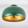 Gaudi Plafondlamp Goud, Groen, 1-licht
