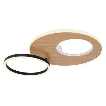 Globo FORSI Plafondlamp LED Wit, 2-lichts, Afstandsbediening, Kleurwisselaar