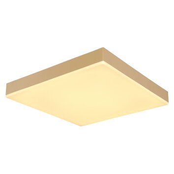 Globo DORO Plafondlamp LED Wit, 1-licht