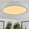 Maho Plafondlamp LED Wit, 1-licht