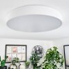 Maho Plafondlamp LED Wit, 1-licht