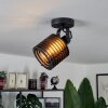 Boula Plafondlamp Zwart, 1-licht