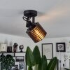 Boula Plafondlamp Zwart, 1-licht