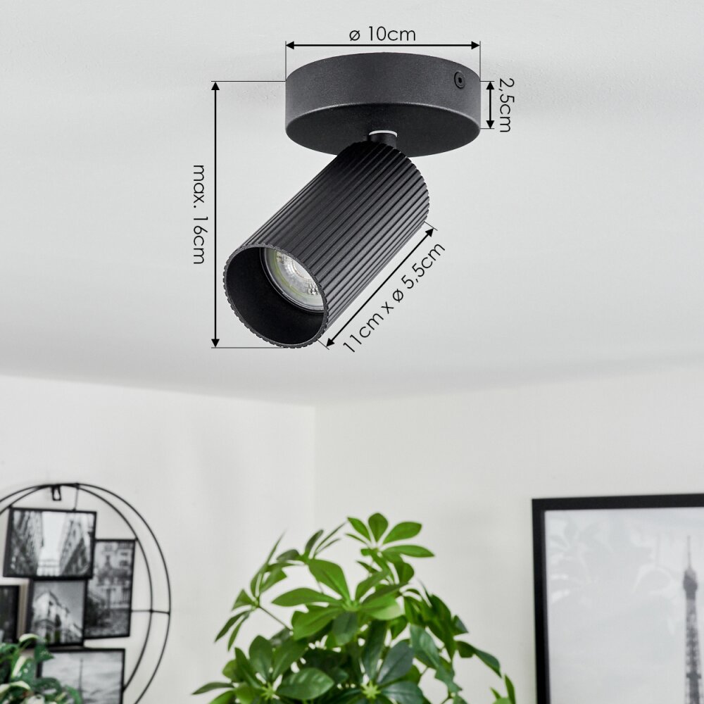 Trutielle Plafondlamp Zwart, 1-licht