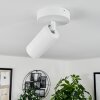 Trutielle Plafondlamp Wit, 1-licht