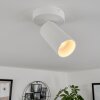 Trutielle Plafondlamp Wit, 1-licht