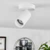 Trutielle Plafondlamp Wit, 1-licht