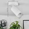 Trutielle Plafondlamp Wit, 1-licht