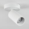 Trutielle Plafondlamp Wit, 1-licht