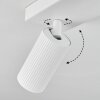 Trutielle Plafondlamp Wit, 2-lichts