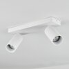 Trutielle Plafondlamp Wit, 2-lichts