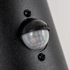 Tolsona Buiten muurverlichting Zwart, 2-lichts, Bewegingsmelder