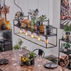 Victorine Hanglamp Chroom, Zwart, 5-lichts