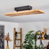 Adak Plafondlamp LED Zwart, 1-licht