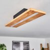 Adak Plafondlamp LED Zwart, 1-licht