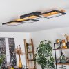 Pompu Plafondlamp LED Zwart, 1-licht