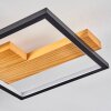 Pompu Plafondlamp LED Zwart, 1-licht