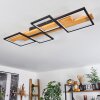 Pompu Plafondlamp LED Zwart, 1-licht