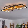 Pompu Plafondlamp LED Zwart, 1-licht