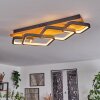 Pompu Plafondlamp LED Zwart, 1-licht
