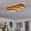 Pompu Plafondlamp LED Zwart, 1-licht