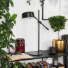 Camori Tafellamp Zwart, 1-licht