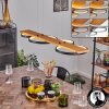 Rodekro Hanglamp LED Zwart, 1-licht