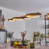 Rodekro Hanglamp LED Zwart, 1-licht
