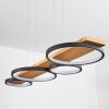 Rodekro Hanglamp LED Zwart, 1-licht