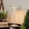 Pelaro Tafellamp voor buiten LED Wit, 1-licht