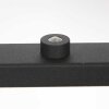 Steinhauer Turound Hanglamp LED Zwart, 4-lichts