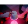 Philips Hue Go Tafellamp voor buiten LED Groen, Wit, 1-licht, Kleurwisselaar