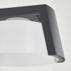 Lafite Buiten muurverlichting Antraciet, 1-licht
