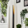 Aleman Staande lamp LED Goud, Zwart, 1-licht