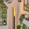 Aleman Staande lamp LED Goud, Zwart, 1-licht