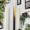 Aleman Staande lamp LED Goud, Zwart, 1-licht