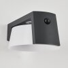 Lafite Solarlamp LED Antraciet, 1-licht, Bewegingsmelder