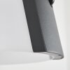 Lafite Solarlamp LED Antraciet, 1-licht, Bewegingsmelder