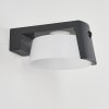Lafite Solarlamp LED Antraciet, 1-licht, Bewegingsmelder